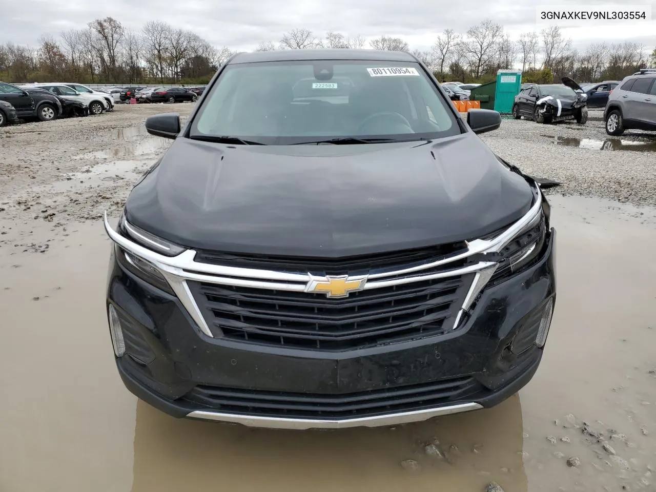 2022 Chevrolet Equinox Lt VIN: 3GNAXKEV9NL303554 Lot: 80110954