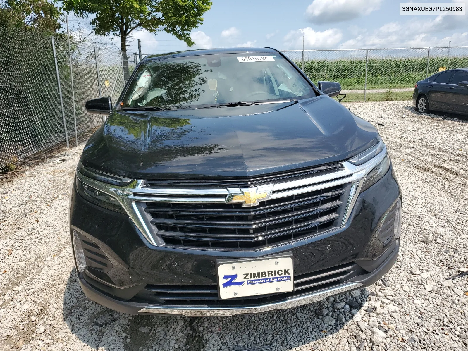 2023 Chevrolet Equinox Lt VIN: 3GNAXUEG7PL250983 Lot: 65016794