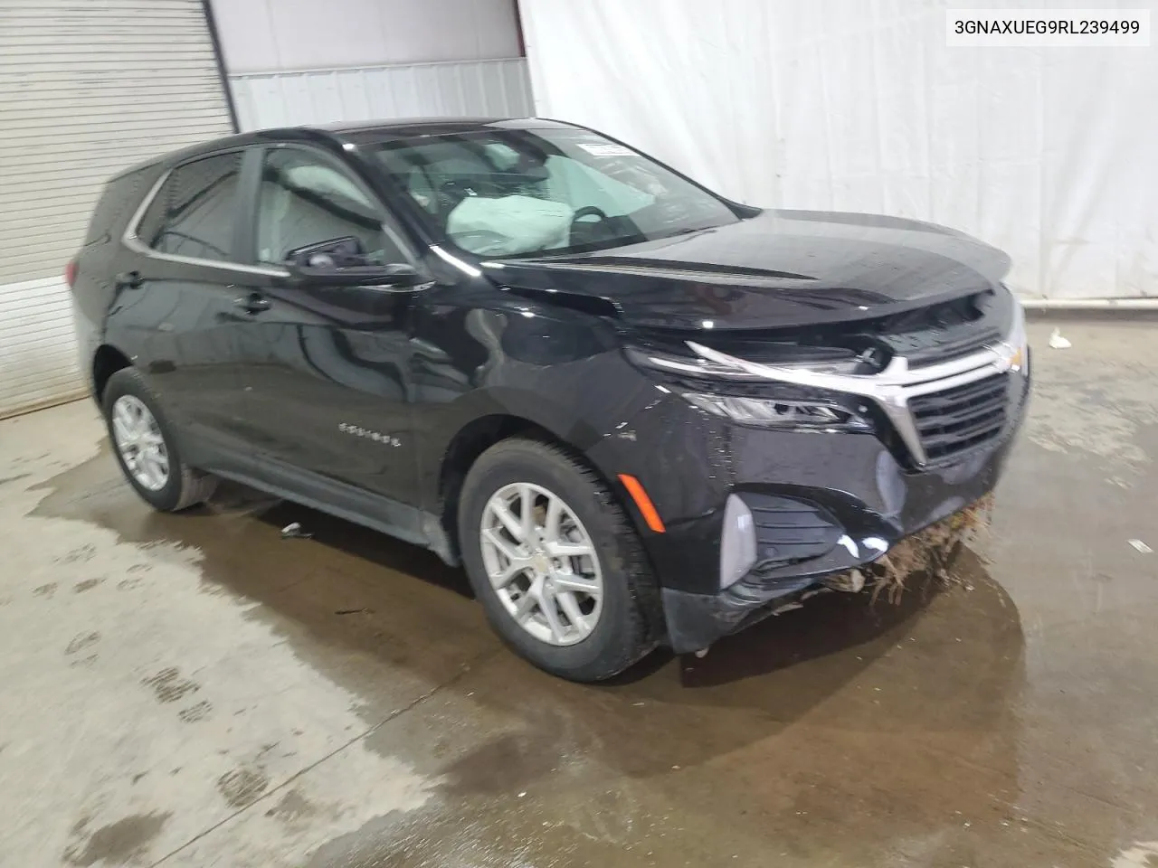 2024 Chevrolet Equinox Lt VIN: 3GNAXUEG9RL239499 Lot: 60848654