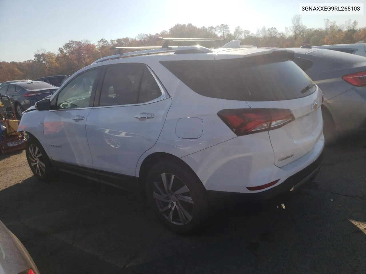 2024 Chevrolet Equinox Premiere VIN: 3GNAXXEG9RL265103 Lot: 75931494