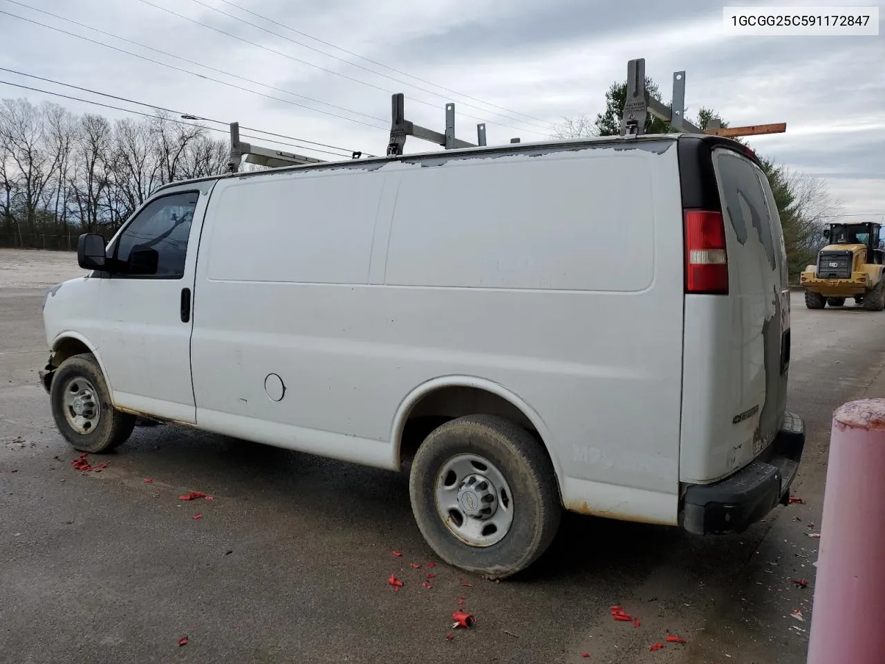 2009 Chevrolet Express G2500 VIN: 1GCGG25C591172847 Lot: 44661874