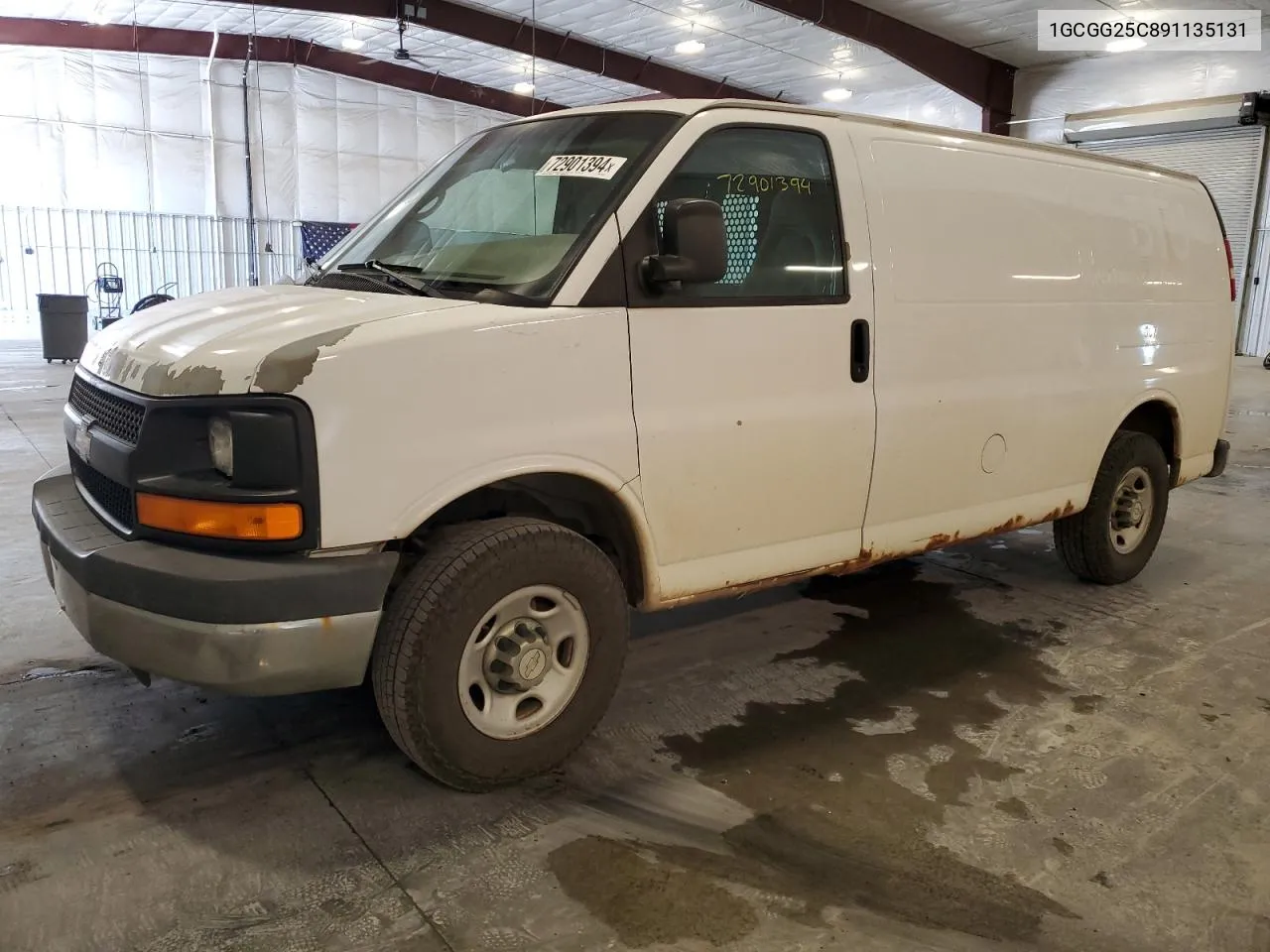 2009 Chevrolet Express G2500 VIN: 1GCGG25C891135131 Lot: 72901394