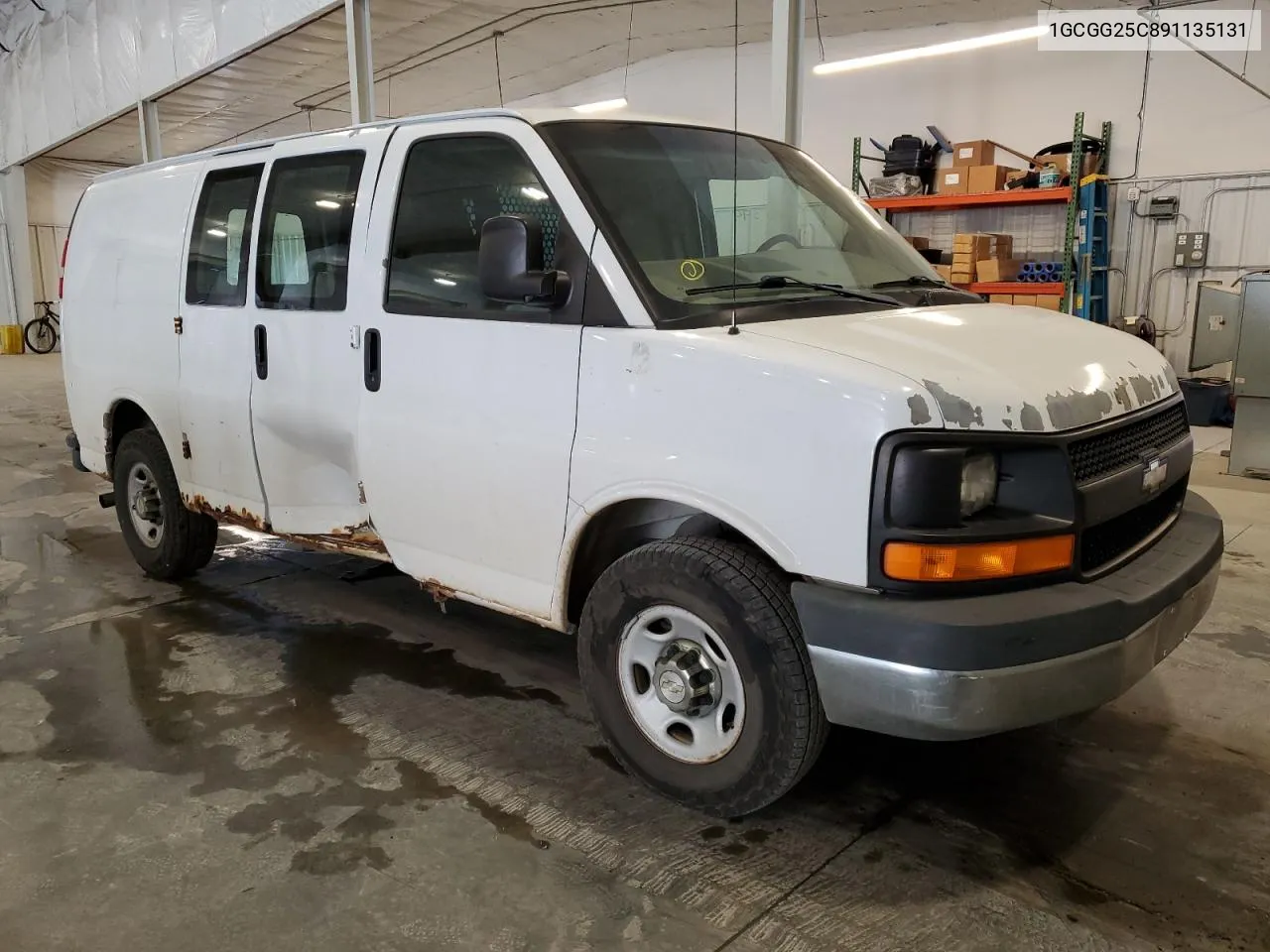 2009 Chevrolet Express G2500 VIN: 1GCGG25C891135131 Lot: 72901394