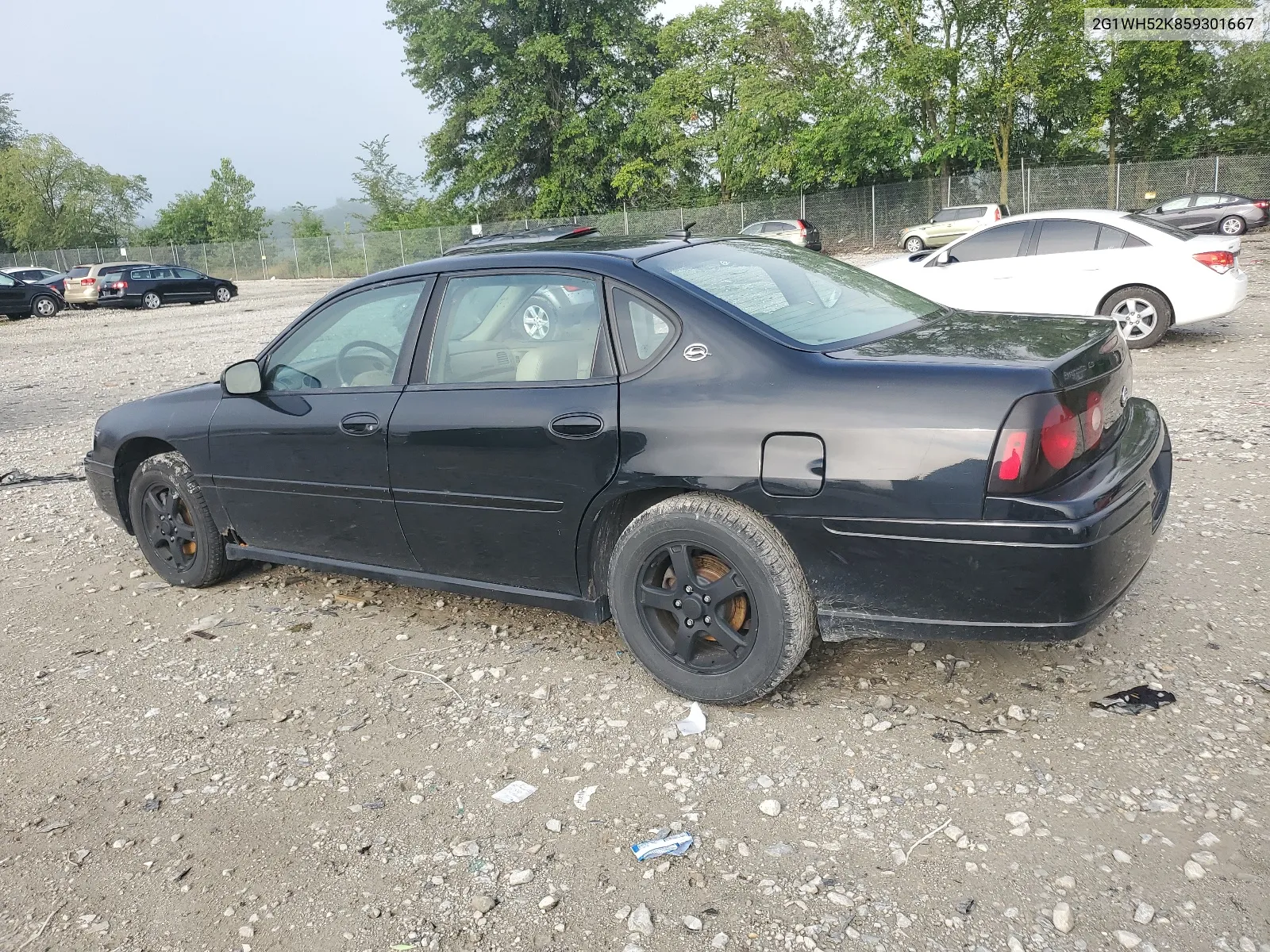 2G1WH52K859301667 2005 Chevrolet Impala Ls