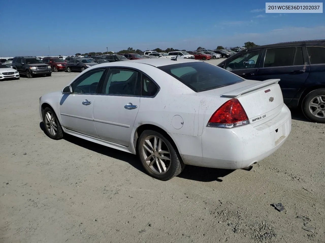 2013 Chevrolet Impala Ltz VIN: 2G1WC5E36D1202037 Lot: 76535864