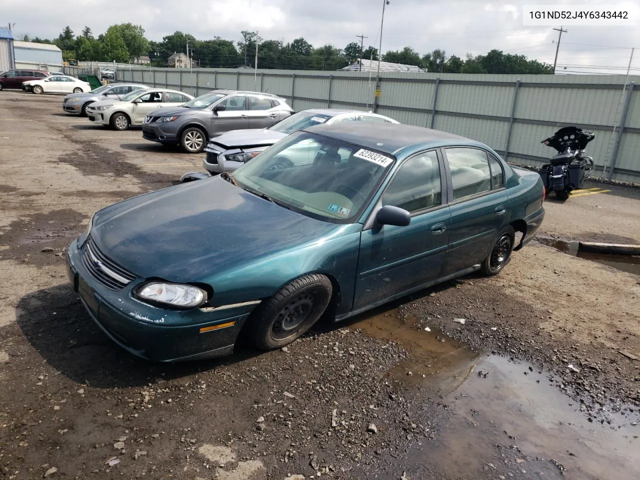 2000 Chevrolet Malibu VIN: 1G1ND52J4Y6343442 Lot: 62393214