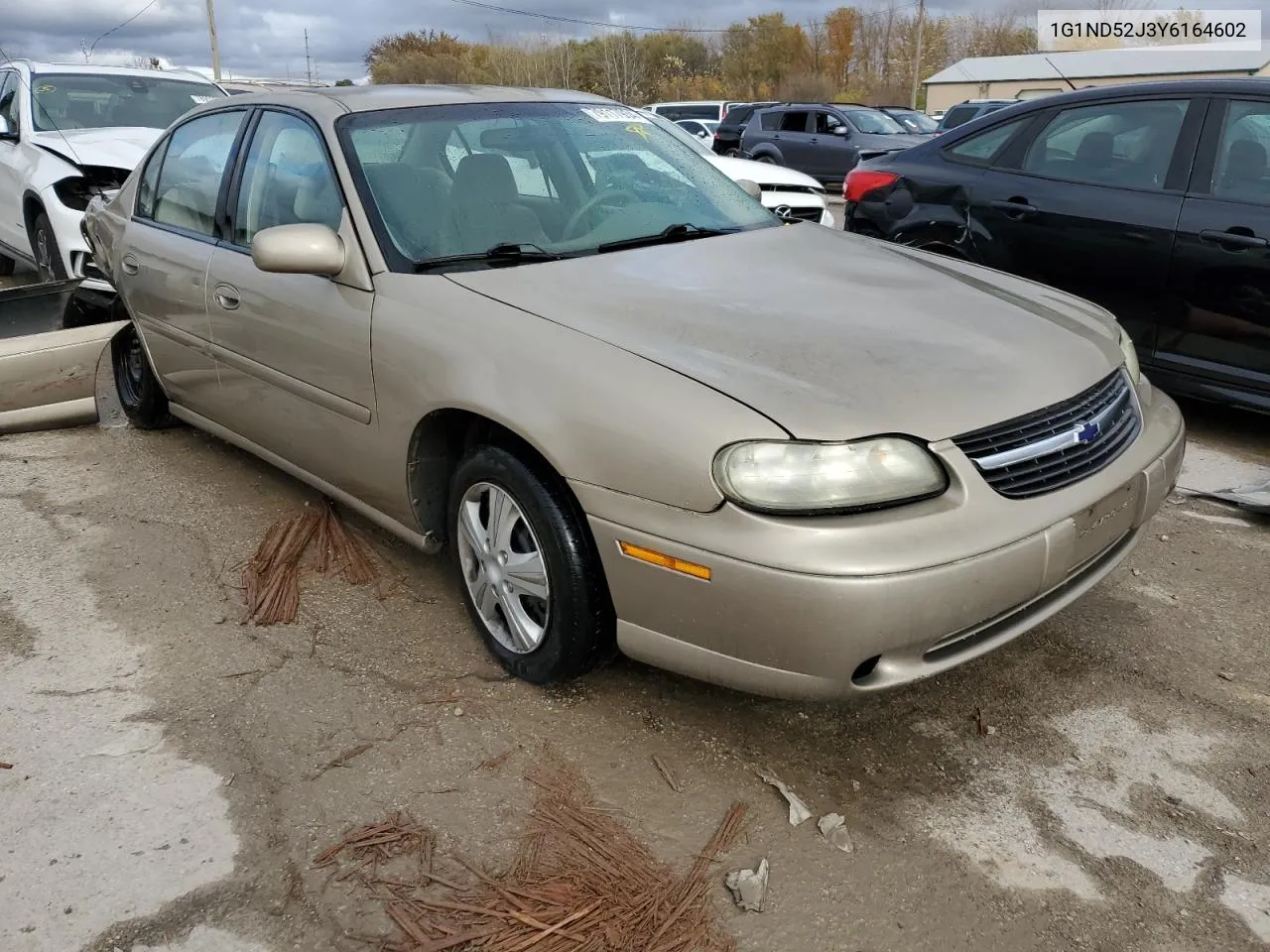 2000 Chevrolet Malibu VIN: 1G1ND52J3Y6164602 Lot: 79117934