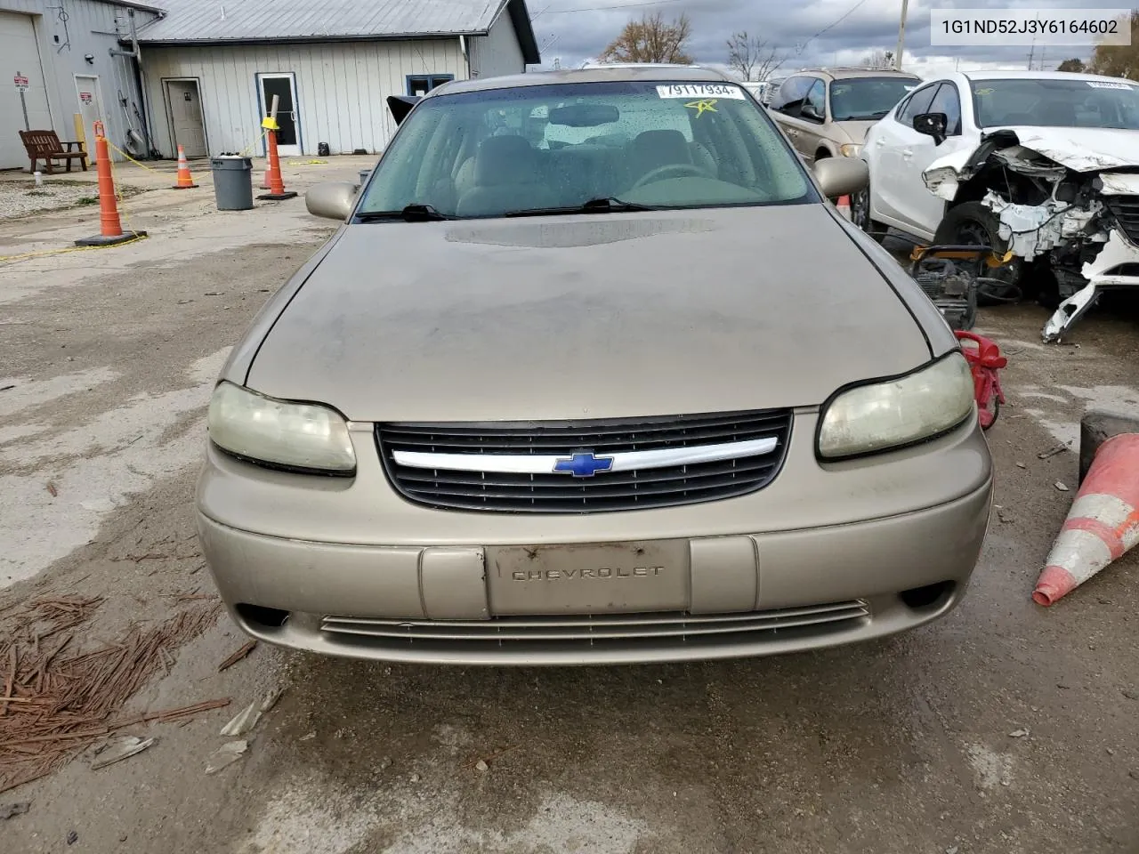 2000 Chevrolet Malibu VIN: 1G1ND52J3Y6164602 Lot: 79117934