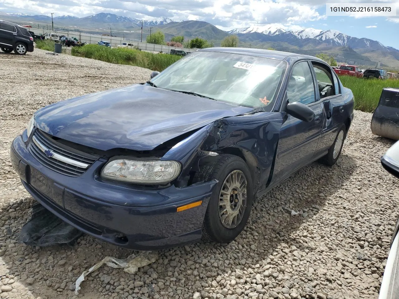 2001 Chevrolet Malibu VIN: 1G1ND52J216158473 Lot: 54381574