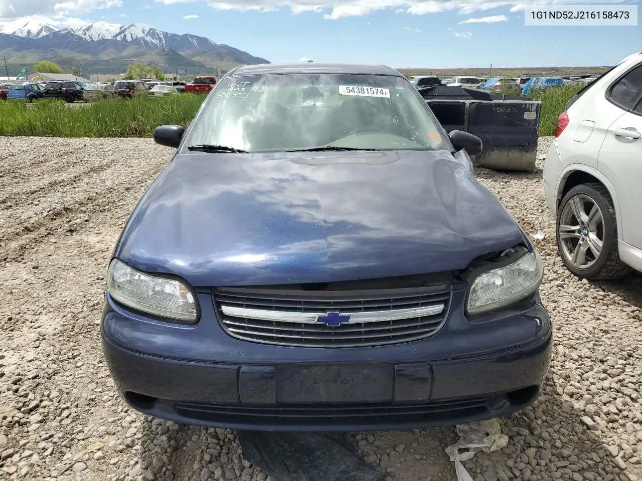 2001 Chevrolet Malibu VIN: 1G1ND52J216158473 Lot: 54381574