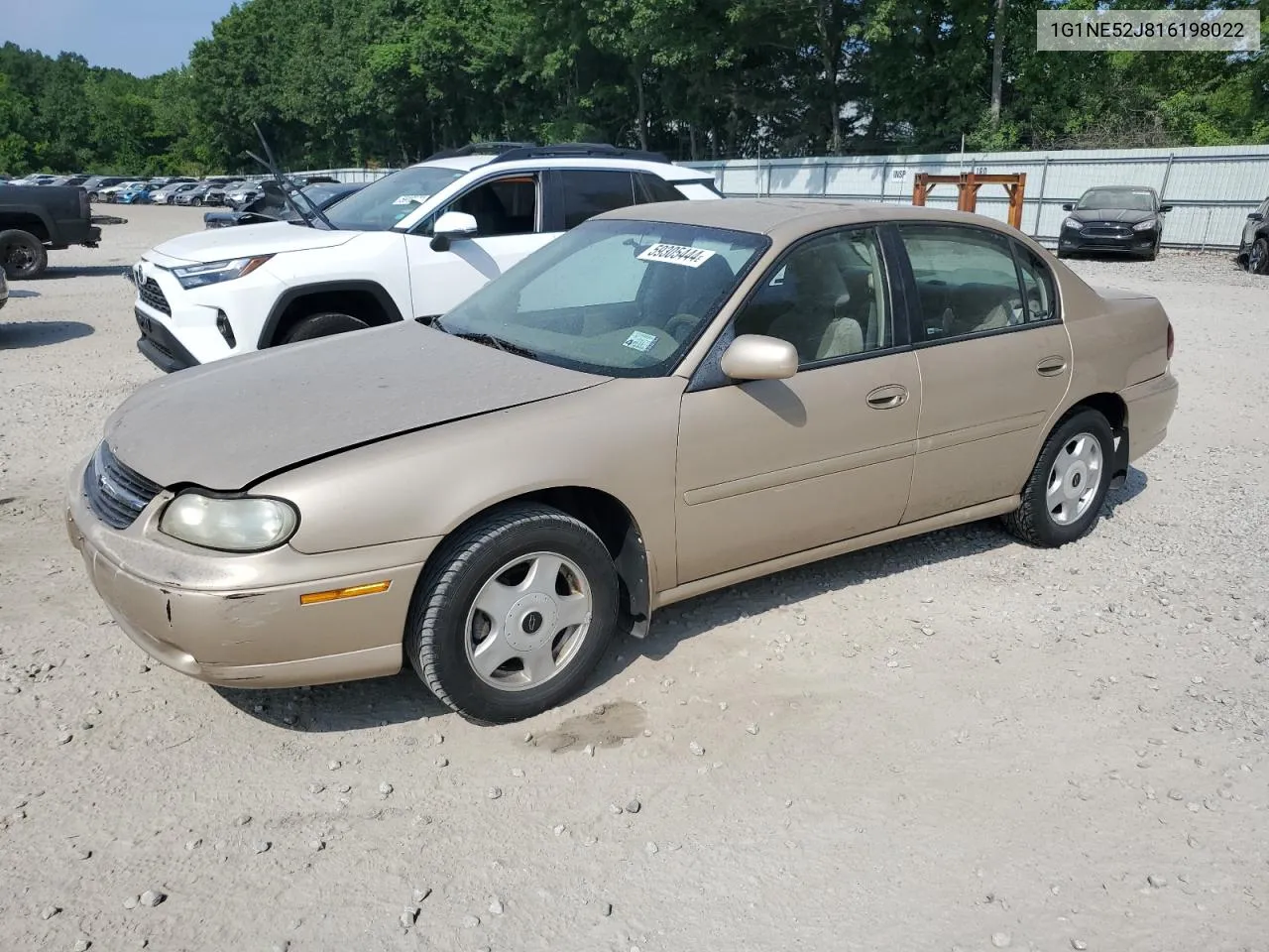 2001 Chevrolet Malibu Ls VIN: 1G1NE52J816198022 Lot: 59305444