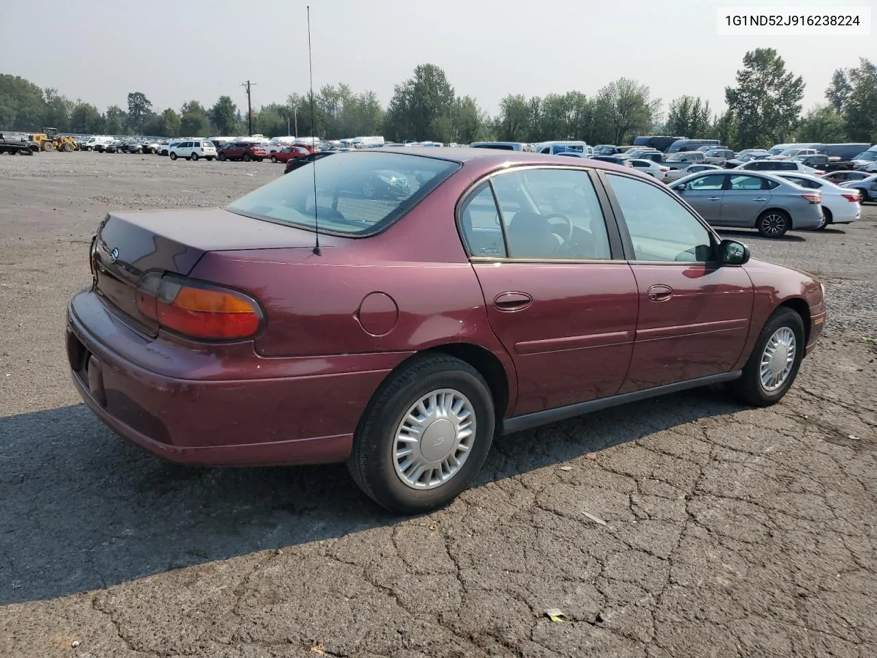 2001 Chevrolet Malibu VIN: 1G1ND52J916238224 Lot: 70820844