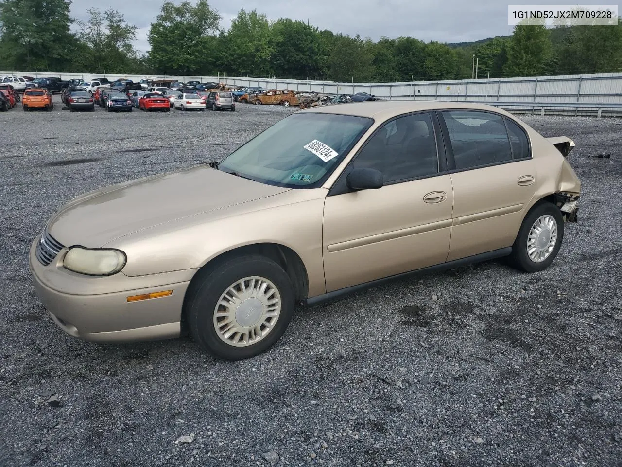 2002 Chevrolet Malibu VIN: 1G1ND52JX2M709228 Lot: 68263124