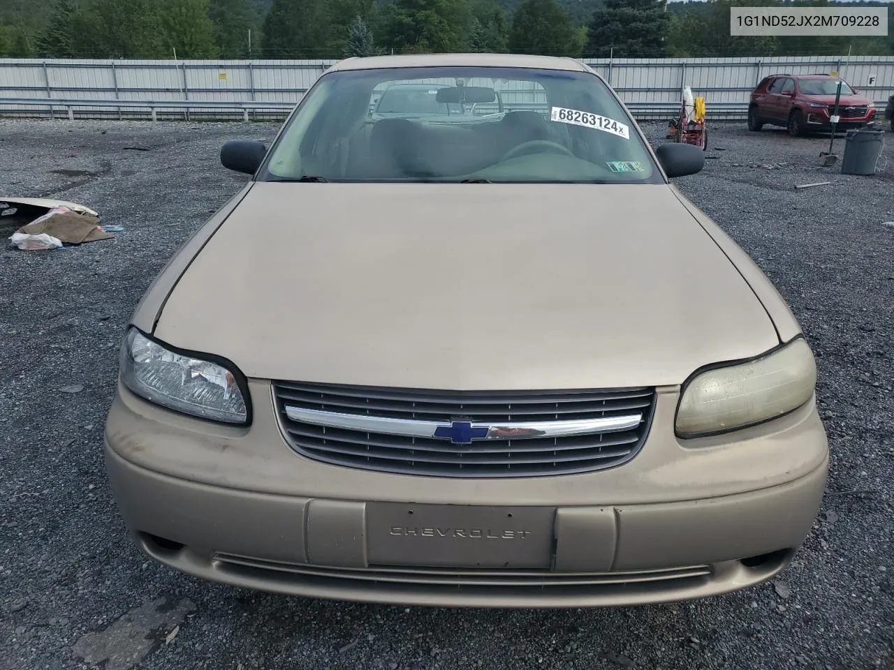 2002 Chevrolet Malibu VIN: 1G1ND52JX2M709228 Lot: 68263124