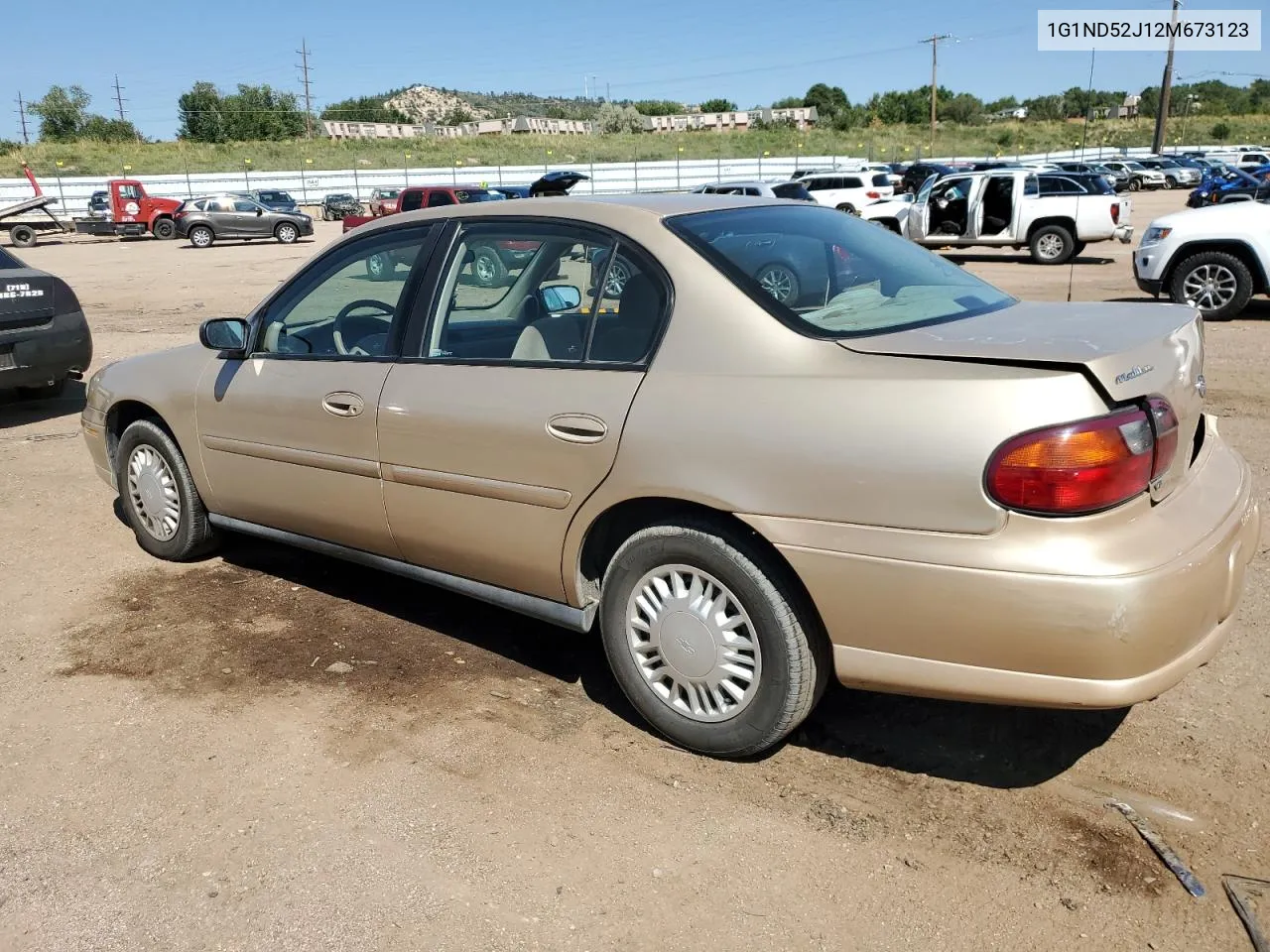 2002 Chevrolet Malibu VIN: 1G1ND52J12M673123 Lot: 70500784