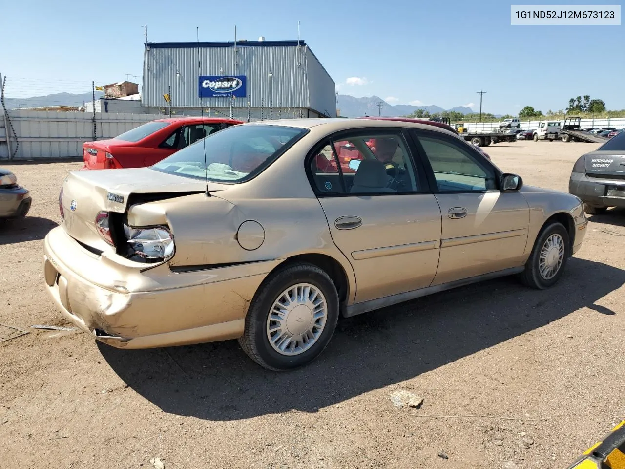 2002 Chevrolet Malibu VIN: 1G1ND52J12M673123 Lot: 70500784