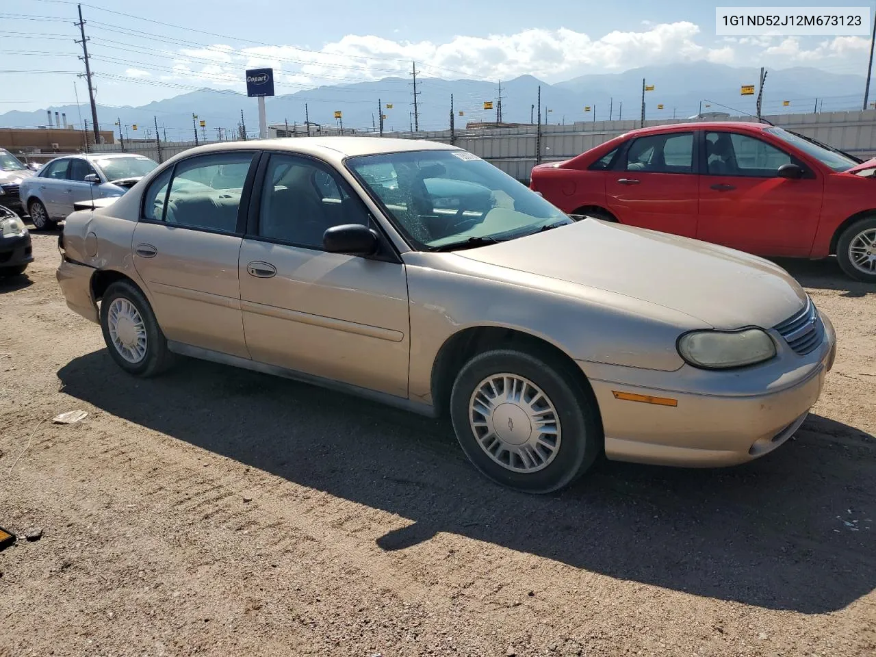 2002 Chevrolet Malibu VIN: 1G1ND52J12M673123 Lot: 70500784