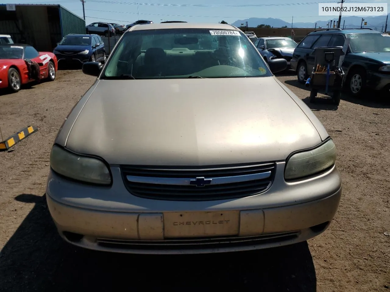 2002 Chevrolet Malibu VIN: 1G1ND52J12M673123 Lot: 70500784