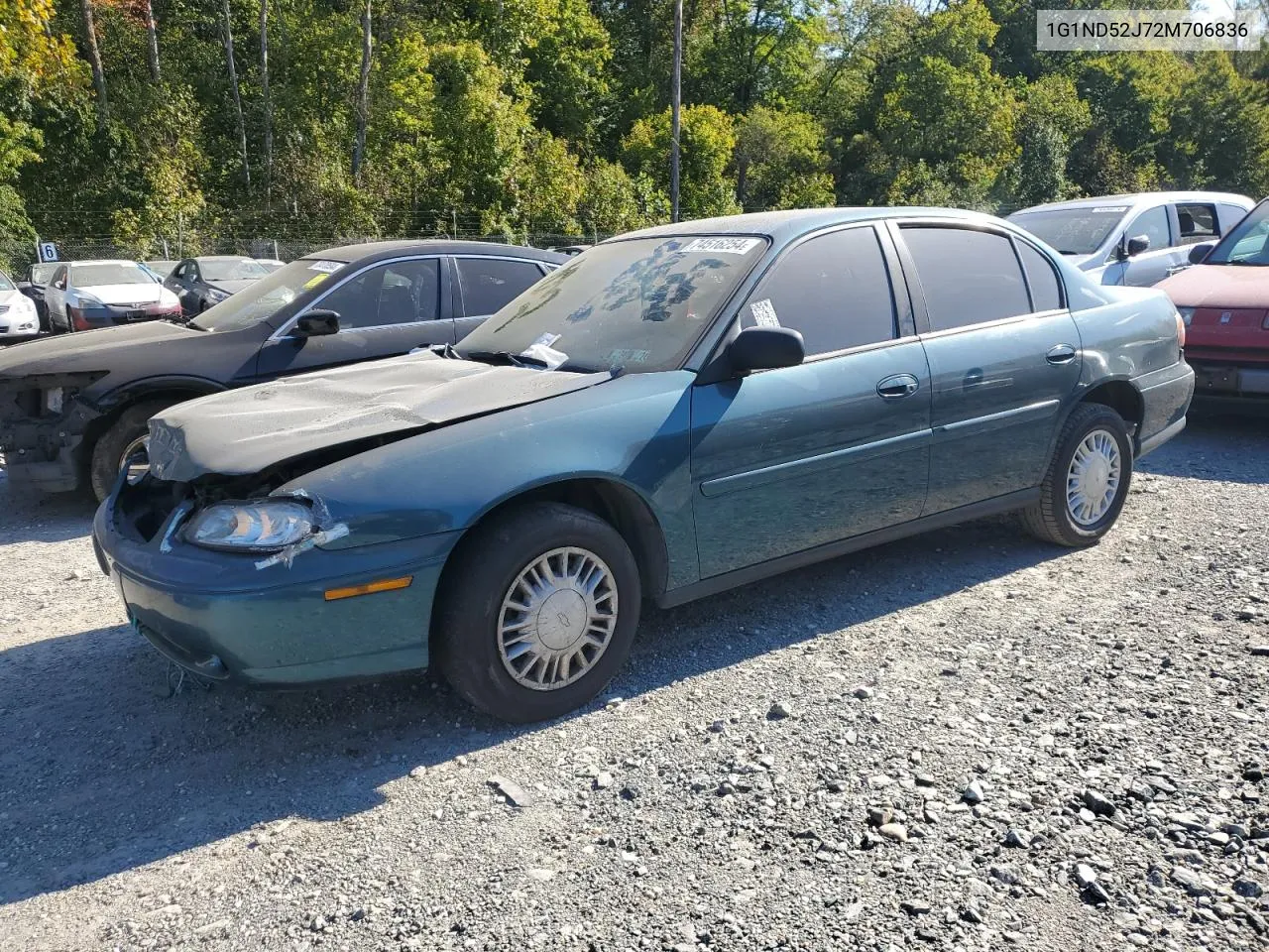 2002 Chevrolet Malibu VIN: 1G1ND52J72M706836 Lot: 74516254