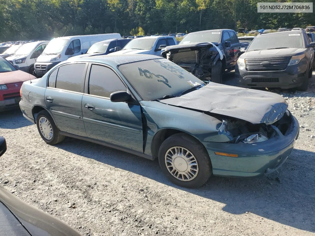 2002 Chevrolet Malibu VIN: 1G1ND52J72M706836 Lot: 74516254