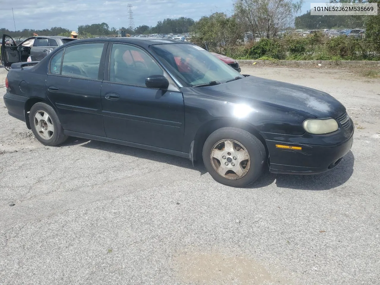 2002 Chevrolet Malibu Ls VIN: 1G1NE52J62M535669 Lot: 76945914