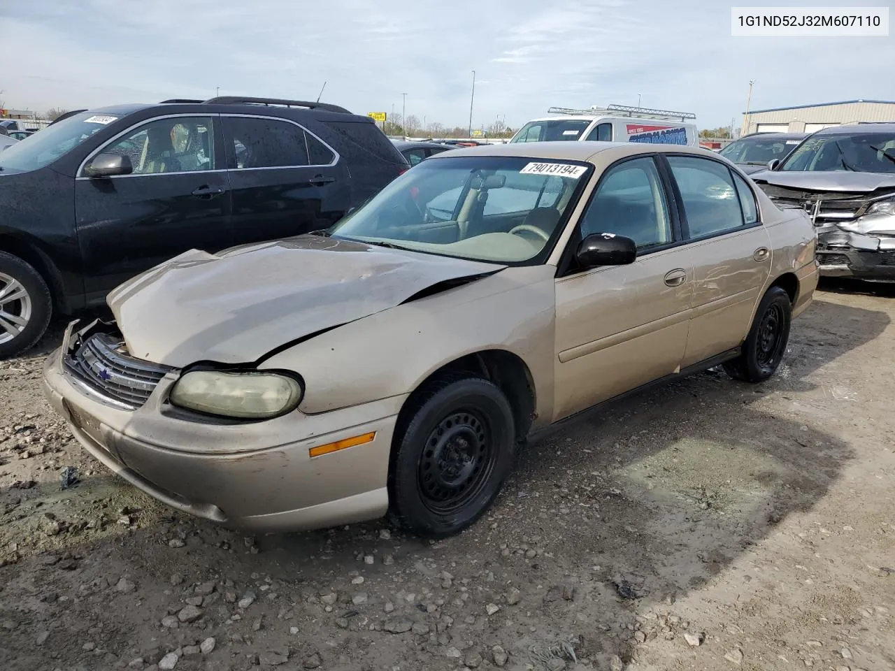 2002 Chevrolet Malibu VIN: 1G1ND52J32M607110 Lot: 79013194