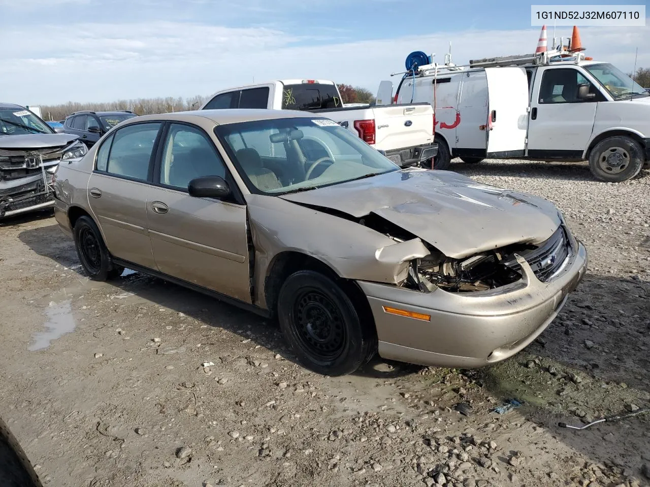 2002 Chevrolet Malibu VIN: 1G1ND52J32M607110 Lot: 79013194