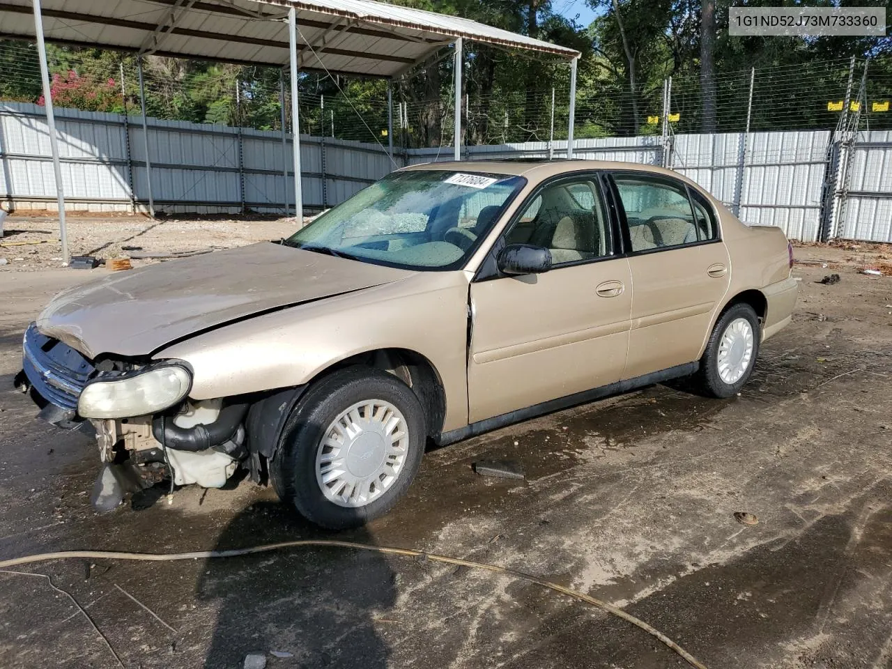 2003 Chevrolet Malibu VIN: 1G1ND52J73M733360 Lot: 71376084