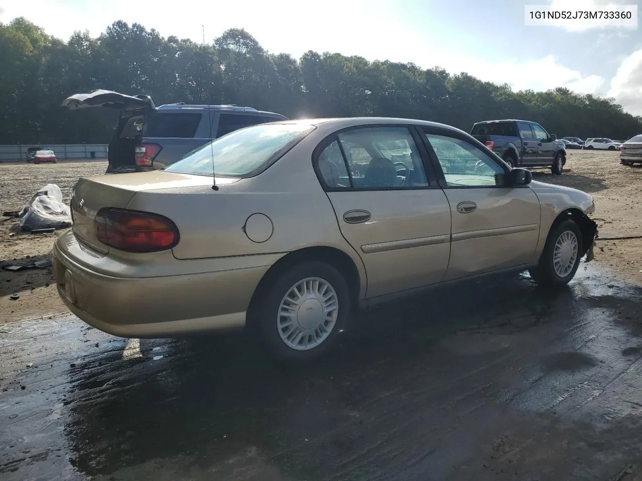 2003 Chevrolet Malibu VIN: 1G1ND52J73M733360 Lot: 71376084