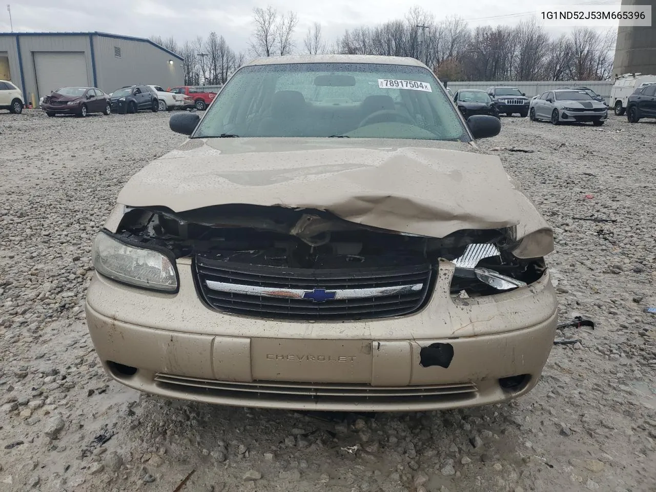 2003 Chevrolet Malibu VIN: 1G1ND52J53M665396 Lot: 78917504