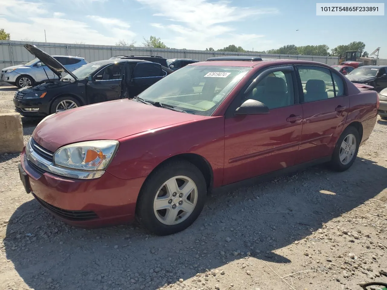 2005 Chevrolet Malibu Ls VIN: 1G1ZT54865F233891 Lot: 57619474