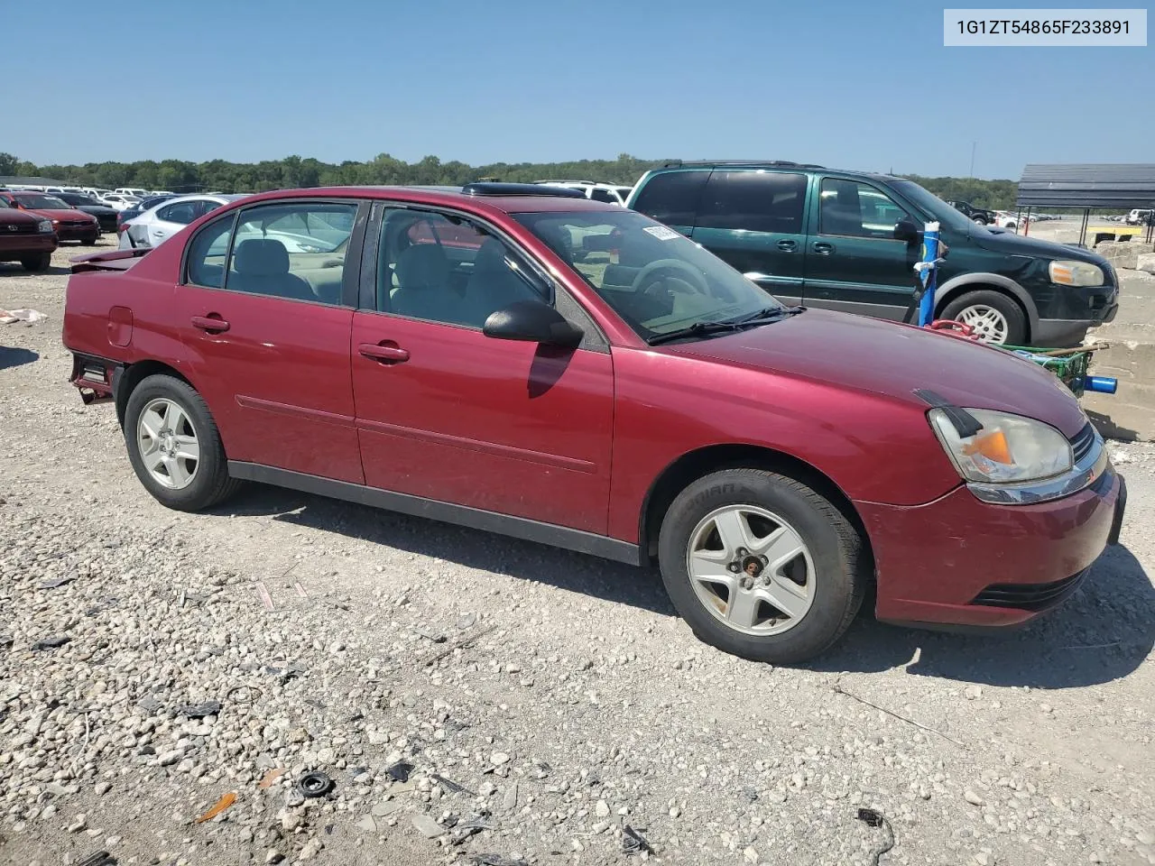 2005 Chevrolet Malibu Ls VIN: 1G1ZT54865F233891 Lot: 57619474