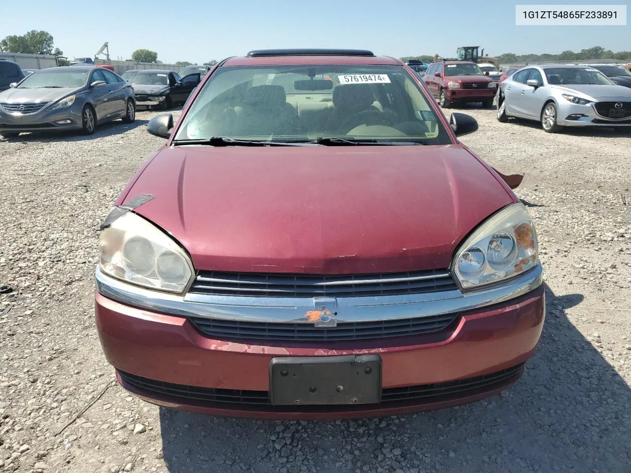 2005 Chevrolet Malibu Ls VIN: 1G1ZT54865F233891 Lot: 57619474