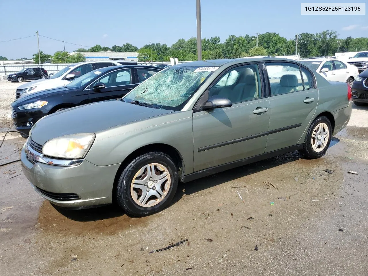 2005 Chevrolet Malibu VIN: 1G1ZS52F25F123196 Lot: 60053574