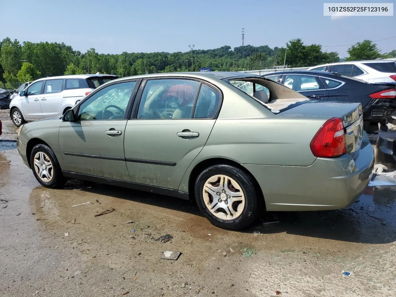 2005 Chevrolet Malibu VIN: 1G1ZS52F25F123196 Lot: 60053574