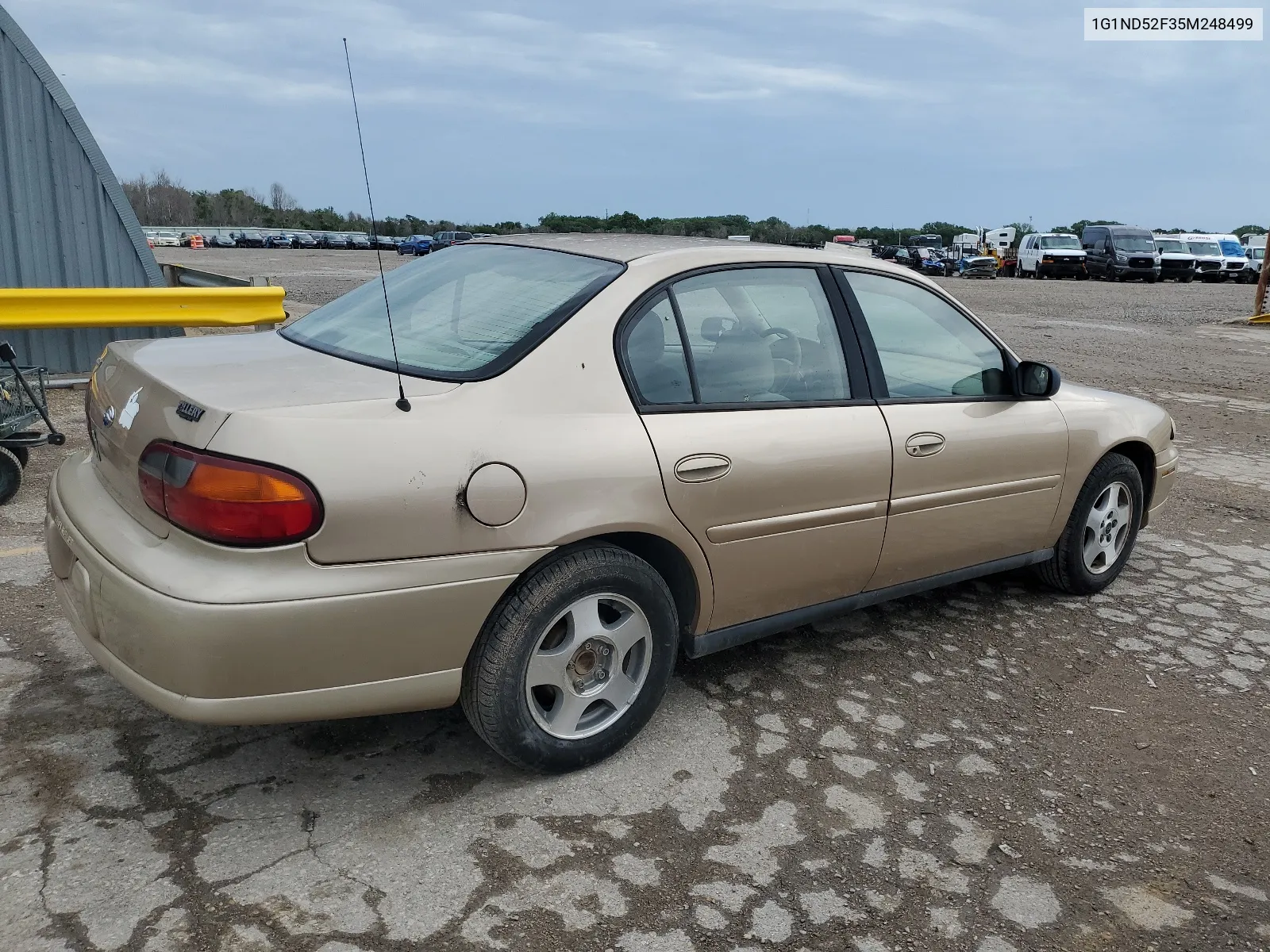 2005 Chevrolet Classic VIN: 1G1ND52F35M248499 Lot: 60842614