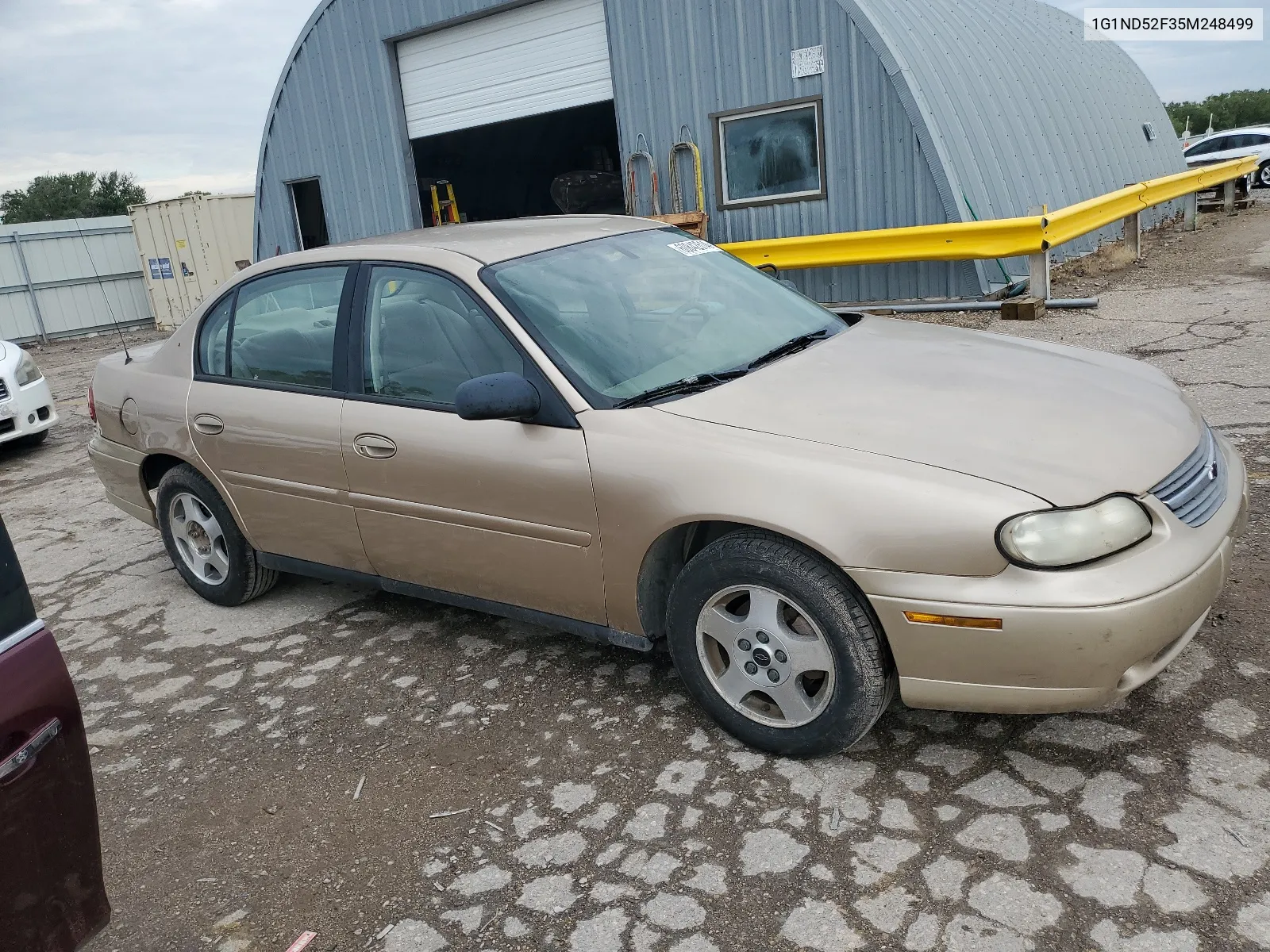 2005 Chevrolet Classic VIN: 1G1ND52F35M248499 Lot: 60842614