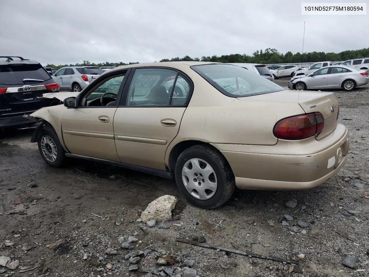 2005 Chevrolet Classic VIN: 1G1ND52F75M180594 Lot: 66166464