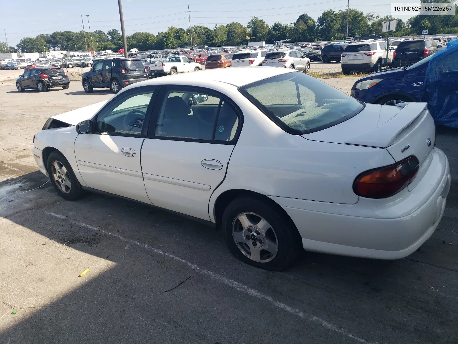 2005 Chevrolet Classic VIN: 1G1ND52F15M226257 Lot: 68211164