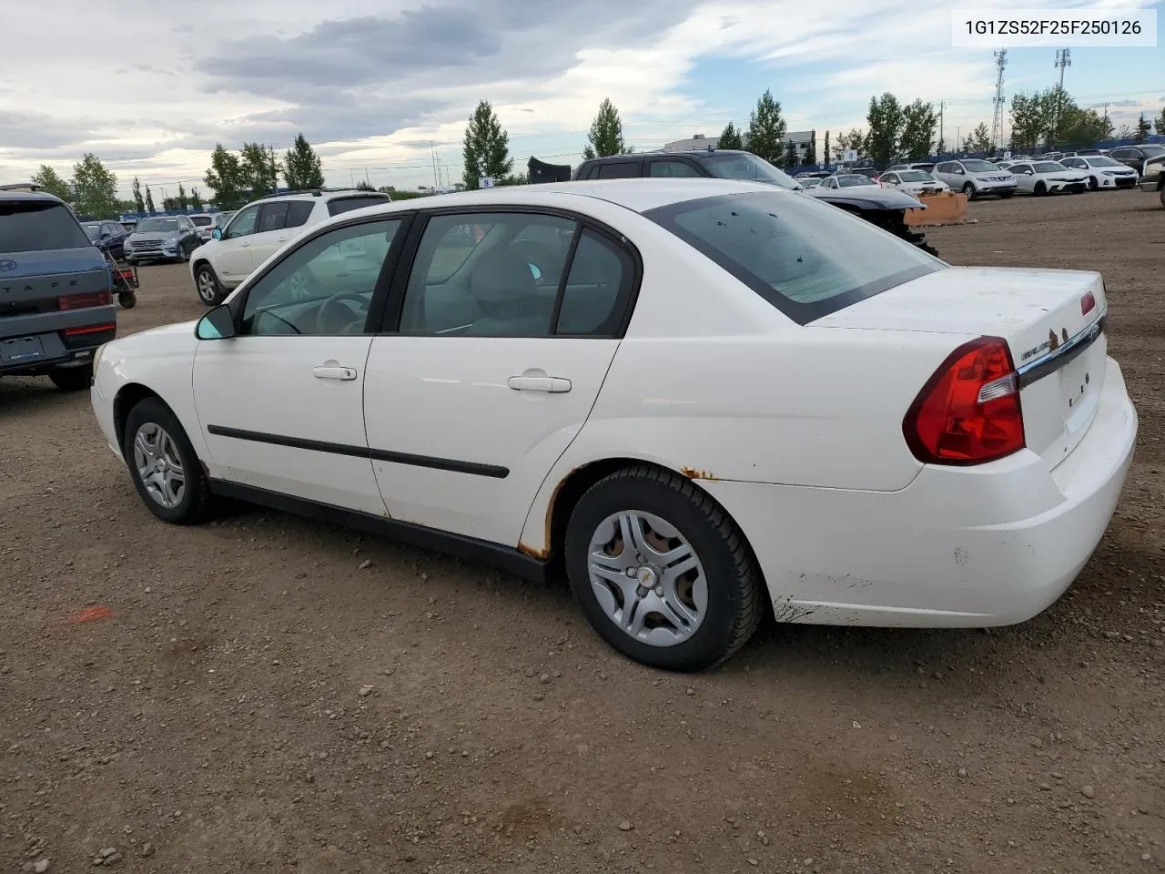 2005 Chevrolet Malibu VIN: 1G1ZS52F25F250126 Lot: 69082164