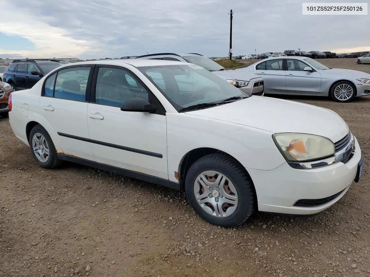 2005 Chevrolet Malibu VIN: 1G1ZS52F25F250126 Lot: 69082164