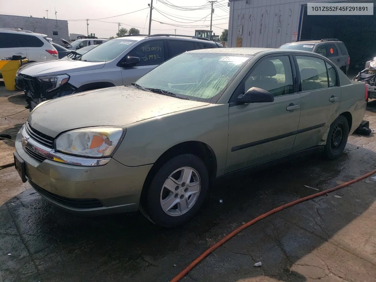 2005 Chevrolet Malibu VIN: 1G1ZS52F45F291891 Lot: 71170684