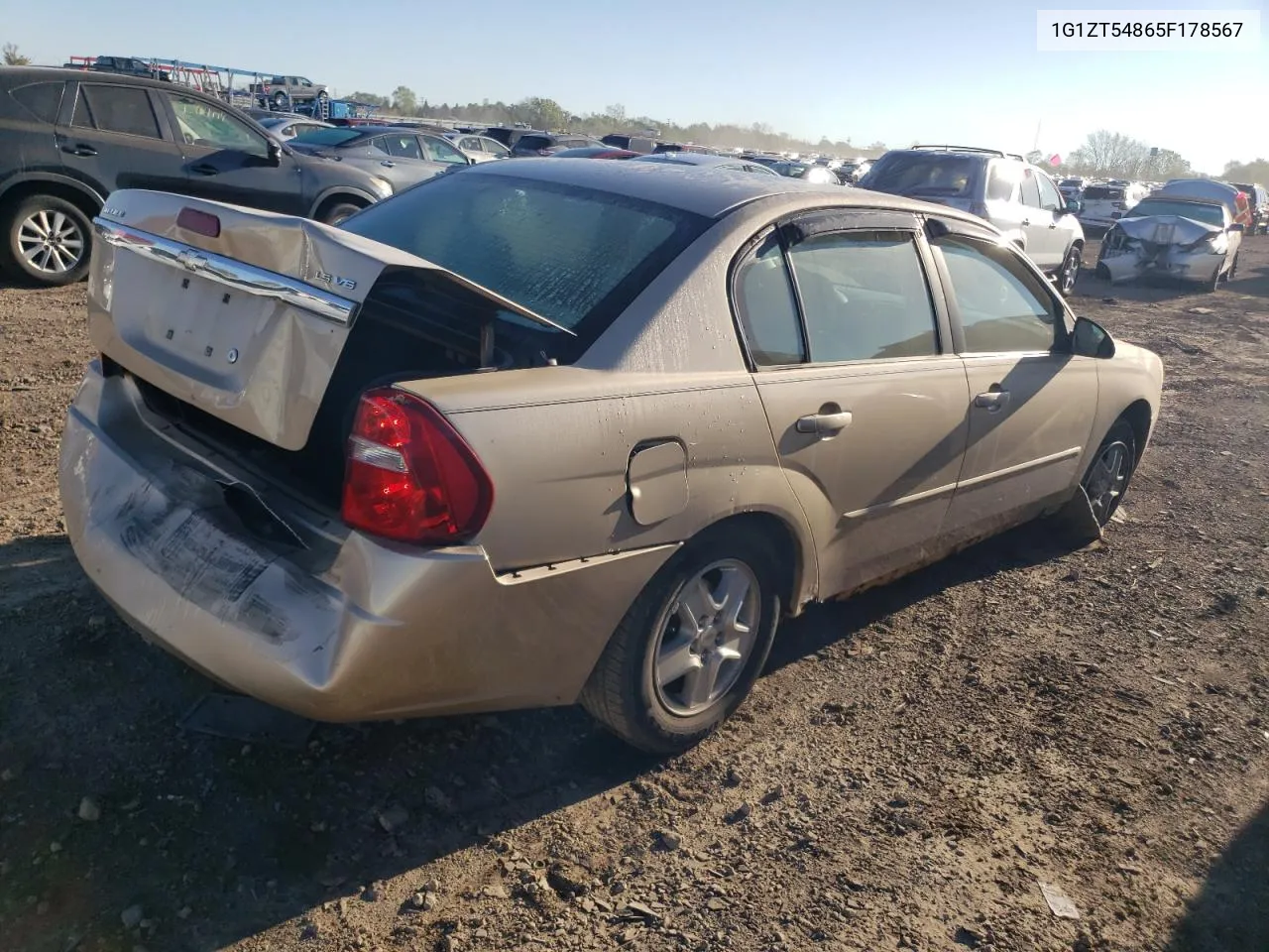 2005 Chevrolet Malibu Ls VIN: 1G1ZT54865F178567 Lot: 73057814