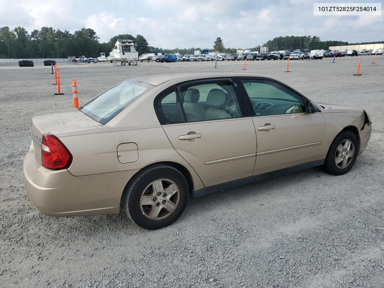 2005 Chevrolet Malibu Ls VIN: 1G1ZT52825F254014 Lot: 73671974