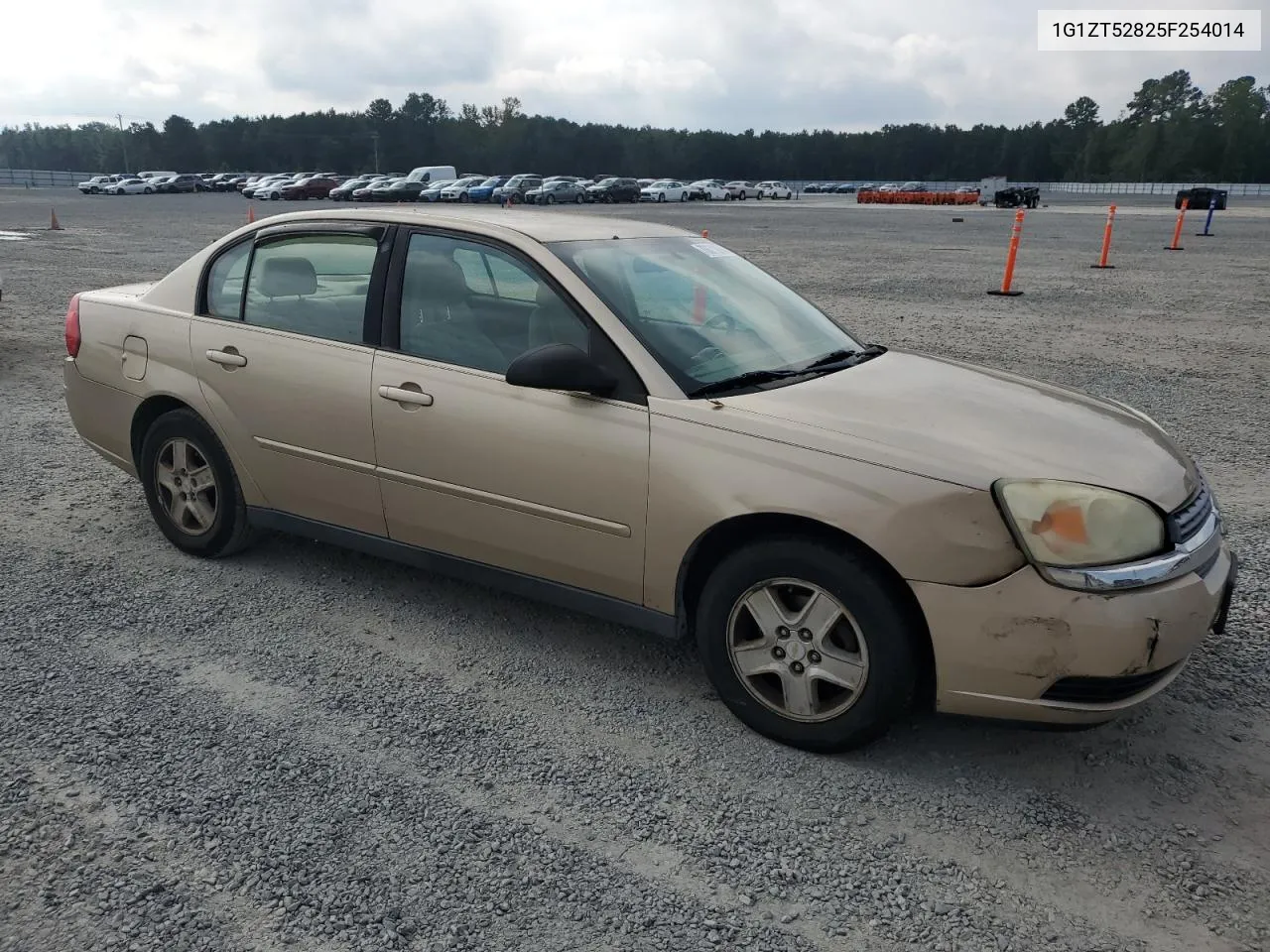 2005 Chevrolet Malibu Ls VIN: 1G1ZT52825F254014 Lot: 73671974