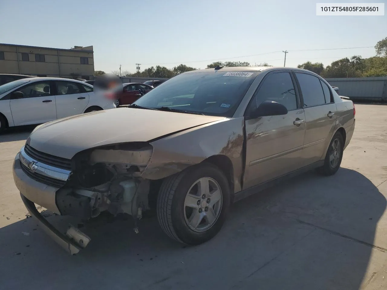 2005 Chevrolet Malibu Ls VIN: 1G1ZT54805F285601 Lot: 75038064