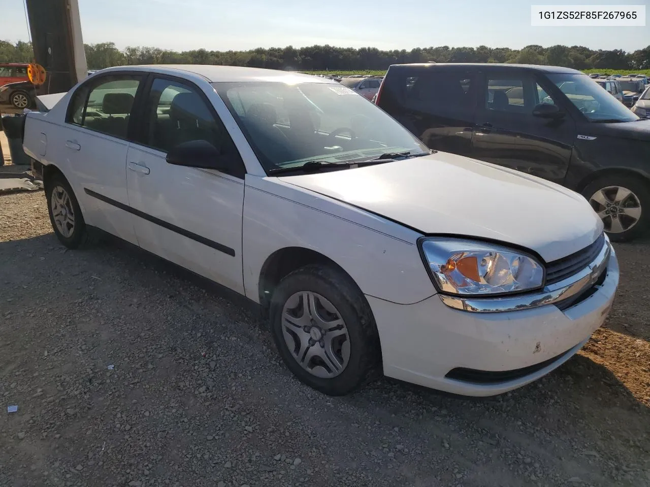 2005 Chevrolet Malibu VIN: 1G1ZS52F85F267965 Lot: 76005114