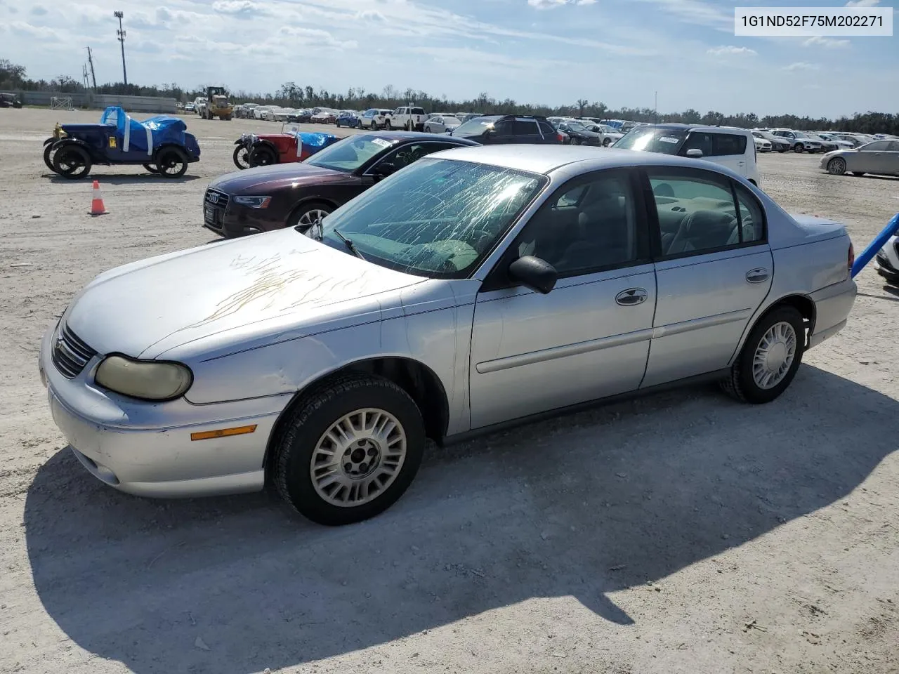 2005 Chevrolet Classic VIN: 1G1ND52F75M202271 Lot: 76859284