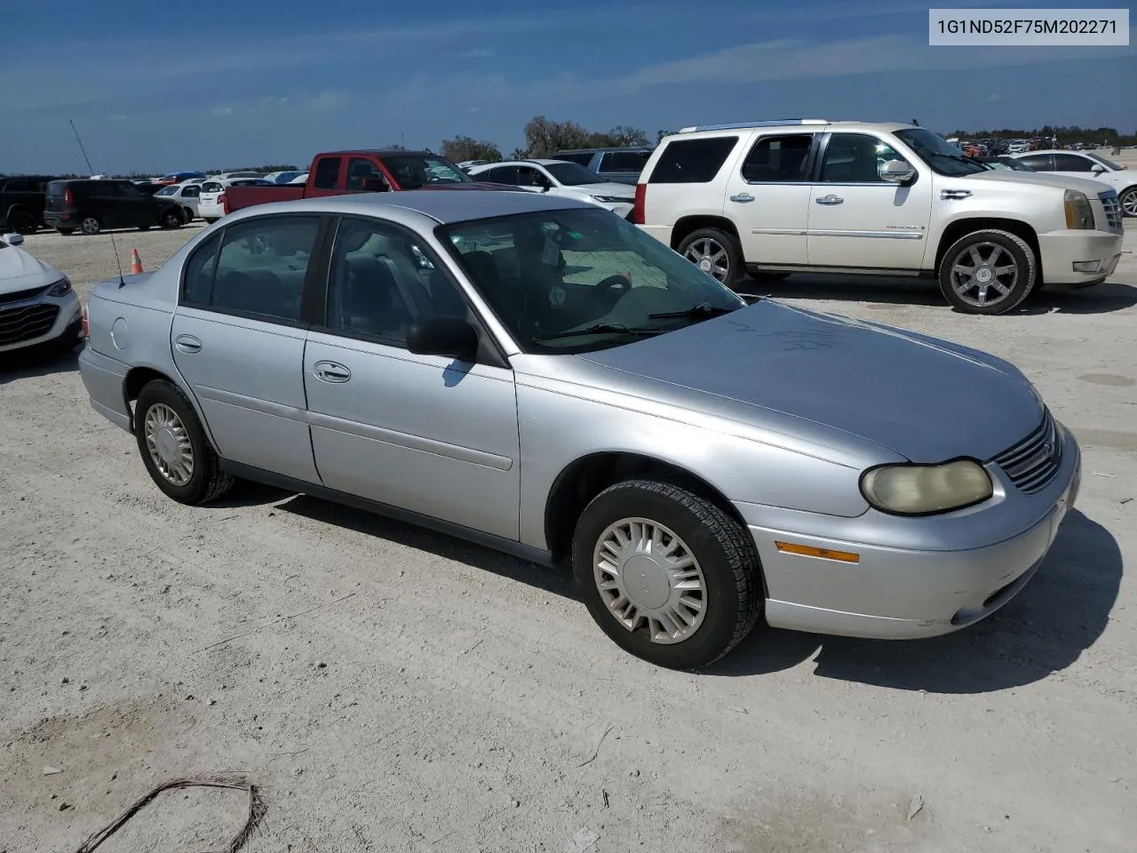 2005 Chevrolet Classic VIN: 1G1ND52F75M202271 Lot: 76859284