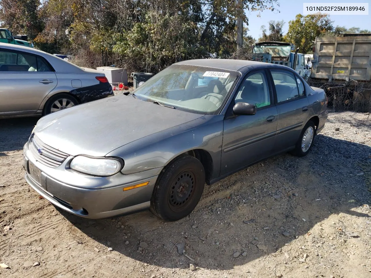 2005 Chevrolet Classic VIN: 1G1ND52F25M189946 Lot: 77042404